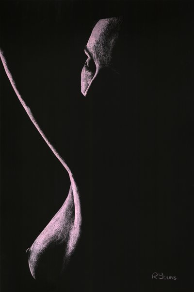  av Richard Young
