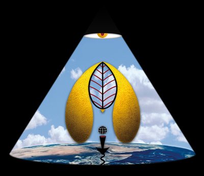 Im Anfang war das Wort (aus der Serie Lichtung) av Alexander Eibach