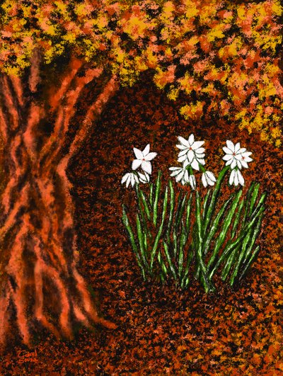 Høstblomster av Carol Sousa Cuello