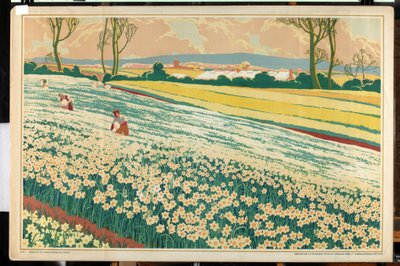 Isles of Scilly, fra serien 'Home Bulbs for Home Gardens' (farge litho) av A.A. Moores