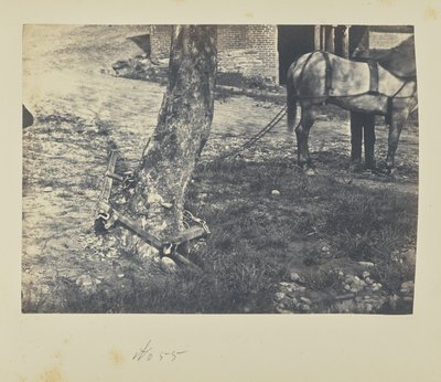  av A.J. Russell