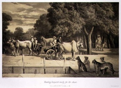 Hunting Leopards Ready for the Chase, fra «Voyage in India», gravert av puben Louis Henri de Rudder (1807-81). i London av A. (after) Soltykoff