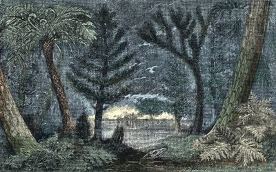 Forhistorie: karakteristisk landskap med myr og skog av A. Demarle