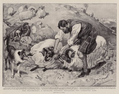 The Peacemaker, en Highland Shepherd som skiller to Combatant Rams av A. G. Small