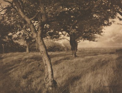 Kameraarbeid: Utover av A. Horsley Hinton