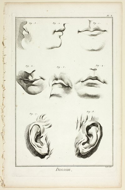 Design: Facial Anatomy fra Encyclopédie av A. J. Defehrt