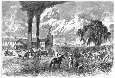 Sugar Plantation, New Orleans, 1870. av A. R. Ward