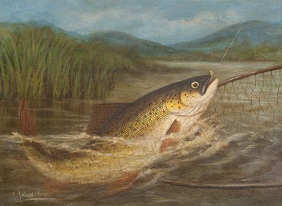 Fluefiskerens garn av A. Roland Knight