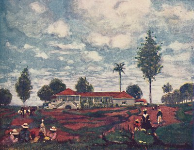Kaffefarmen, 1916 av A. S. Forrest