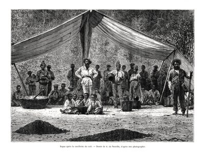 Et måltid etter samlingen av kaffe, Brasil, 1800-tallet av A. de Neuville