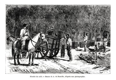 Høsting av kaffen, Brasil, 1800-tallet av A. de Neuville