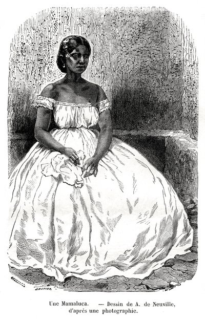 Une Mamaluca, Brazil, 19th century. av A. de Neuville