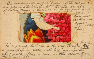 Fuglesjablong, studiemappe for boken *Skjul fargelegging i dyreriket* av Abbott Handerson Thayer