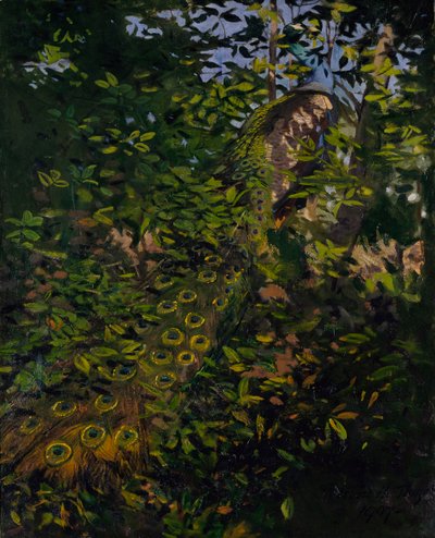 Påfugl i skogen, studie til boken Concealing Coloration in the Animal Kingdom av Abbott Handerson Thayer