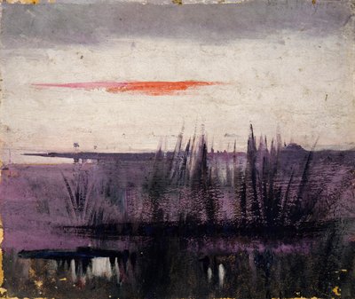 The Sky Simulated by White Flamingoes studie for bok..., i Animal Kingdom, ca. 1905-1909. av Abbott Handerson Thayer