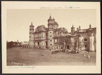  av Abel Briquet