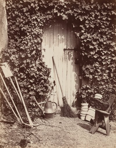  av Abel Briquet