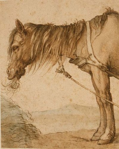 PD.159-1963 A Horse Eating Hay, ca. 1600-10 (penn og blekk, vask) av Abraham Bloemaert