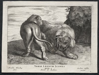 Ulike løver av Abraham Blooteling