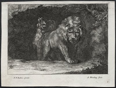 Ulike løver av Abraham Blooteling