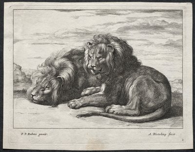 Ulike løver. av Abraham Blooteling