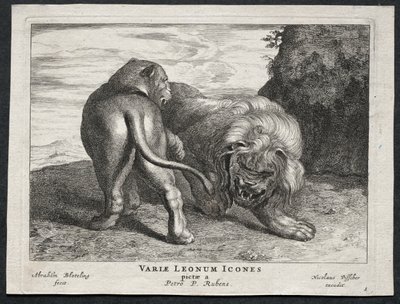 Ulike løver. av Abraham Blooteling