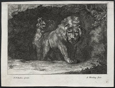 Ulike løver. av Abraham Blooteling