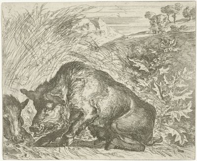Villsvin Forskjellige dyr (serietittel) av Abraham Danielsz. Hondius