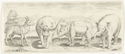 Gaselle-, elefant- og neshorndyr (serietittel) av Abraham de Bruyn (possibly)