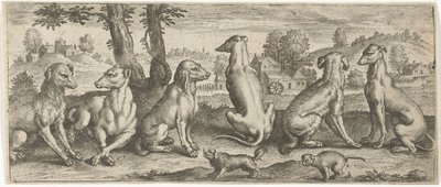 hunder Dyr (serietittel) av Abraham de Bruyn (possibly)