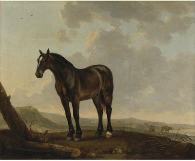  av Abraham van Calraet