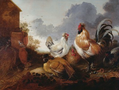 Fjærkre i et gårdstun av Abraham van Calraet