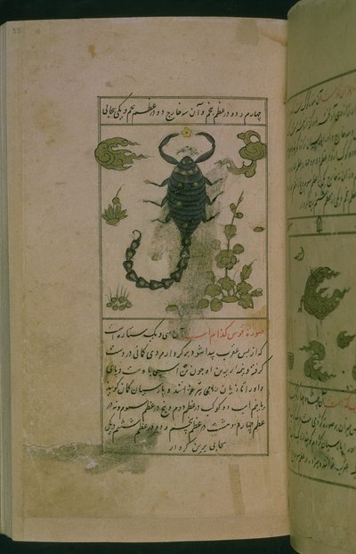 Stjernetegnene i dyrekretsen: Skorpionen, skorpionen, fra Talim dar marifat i taqvim, 1498 (903 Hijra) (blekk) av Abu Jafar al Tabari