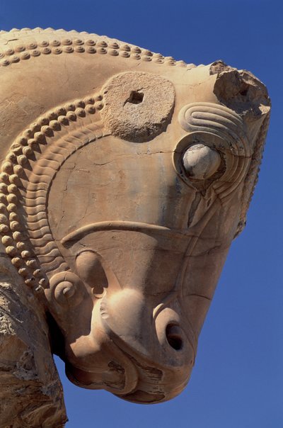 Bulls hode på den nordlige portikken til Throne Hall of Xerxes av Achaemenid