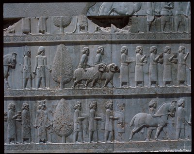 Utsikt over relieffene av østre trapper av Achaemenid