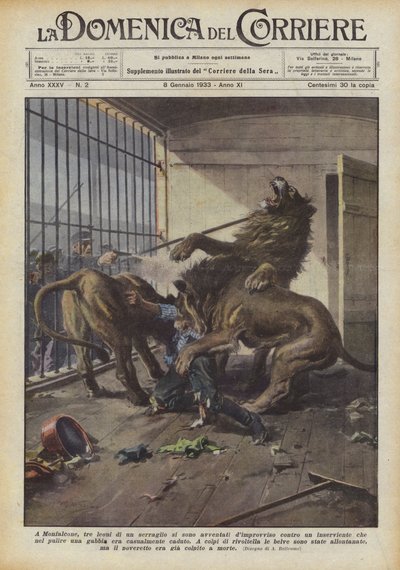 I Monfalcone stormet plutselig tre løver i et menasjeri mot en ledsager hvem? av Achille Beltrame