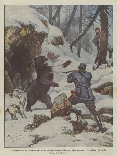 Modig ungarsk offiser som lokker en bjørn med hunden sin til inngangen til en hule, og angriper og dreper henne av Achille Beltrame