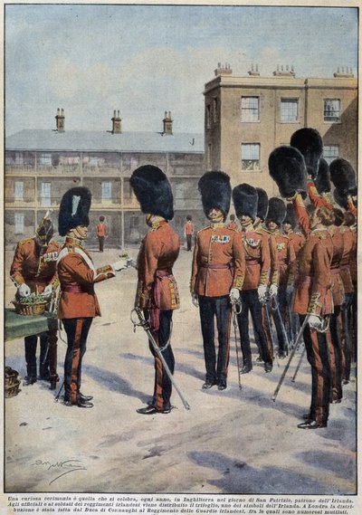 Distribusjon av kløver for Saint Patrick (Patron of Ireland) av irske regimenter, England - tegning av A. Beltrame, i "La Domenica del Corriere"" av Achille Beltrame