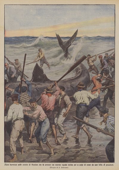 Heftig storm i Messinastredet som strandet en stor hai og deretter drept med en åre? av Achille Beltrame