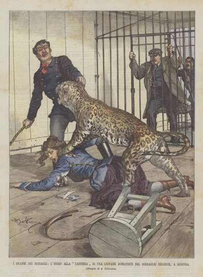 The Dramas Of The Menageries, Begynnelsen av karrieren til en ung temmer i Ehlbeck Menagerie, Genève av Achille Beltrame