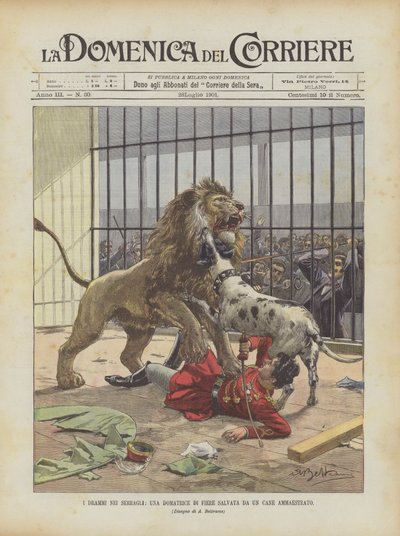 The Dramas In Menageries, A Fair Tamer reddet av en trent hund av Achille Beltrame