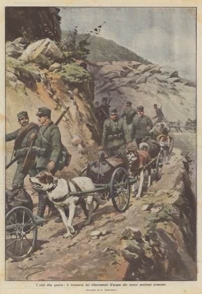 Hunder til krig, transporterer vannforsyninger til våre fremre posisjoner av Achille Beltrame