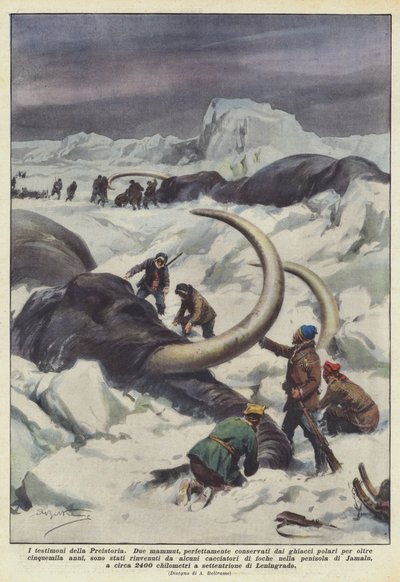 Forhistoriens vitner av Achille Beltrame