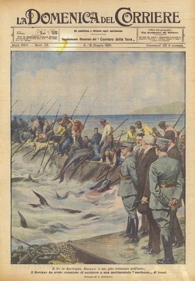 Kongen på Sardinia av Achille Beltrame