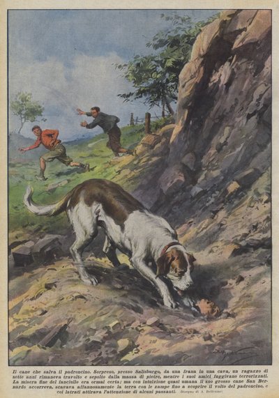 Hunden som redder eieren av Achille Beltrame
