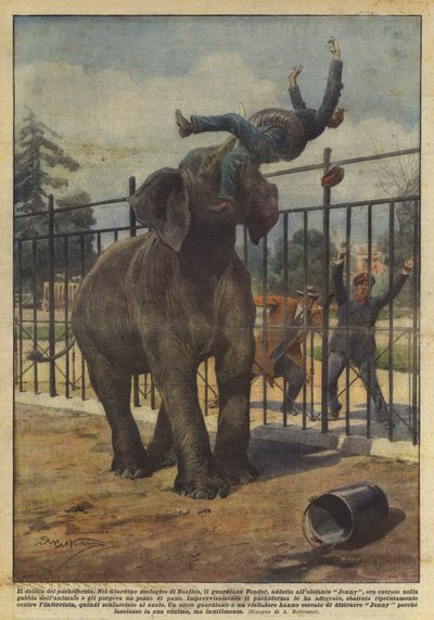 Forbrytelsen til pachyderm av Achille Beltrame
