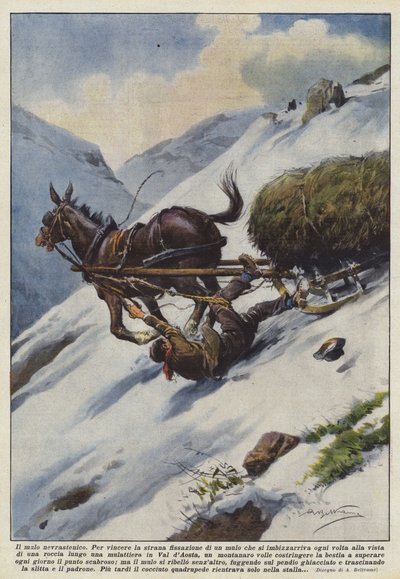 Det neurasteniske muldyret av Achille Beltrame
