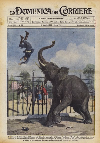 Den andre forbrytelsen av pachyderm av Achille Beltrame