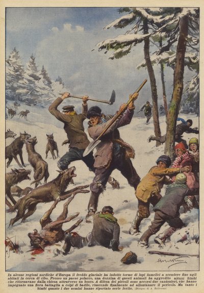 Har den iskalde kulden i noen nordlige regioner av Europa forårsaket flokker av glupske ulver? av Achille Beltrame
