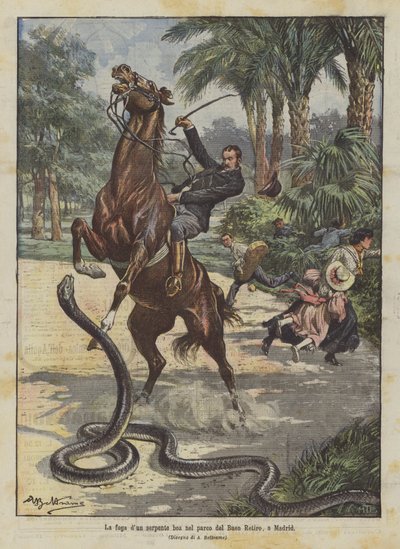 Flukten til boa-slangen i parken Buen Retiro, i Madrid av Achille Beltrame
